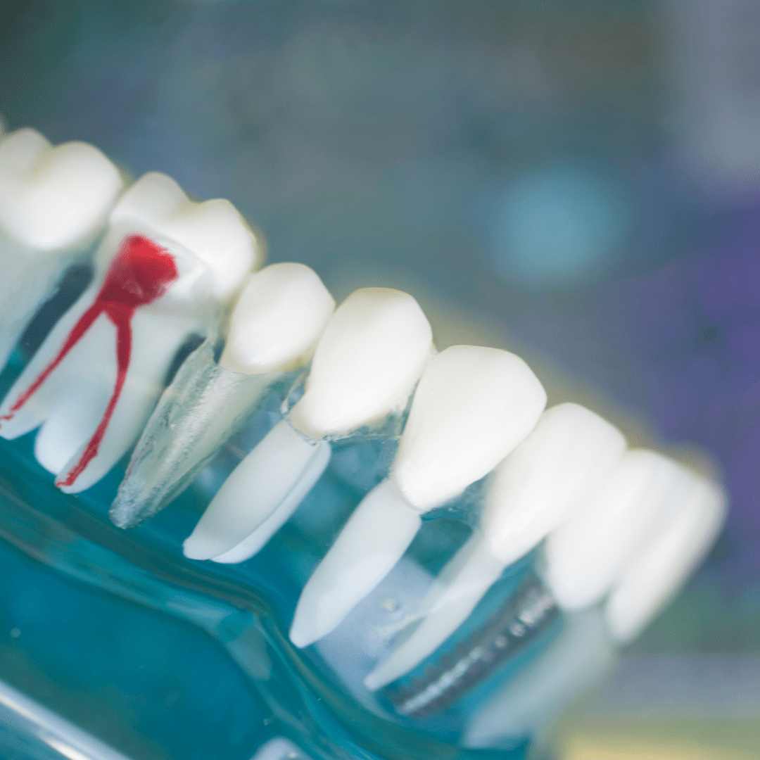 Atelier do Sorriso - Canal-min